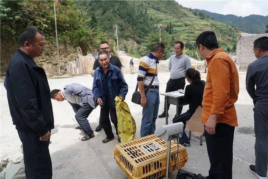 隆陽(yáng)區(qū)扶貧辦最新新聞，持續(xù)推進(jìn)脫貧攻堅(jiān)，助力鄉(xiāng)村振興