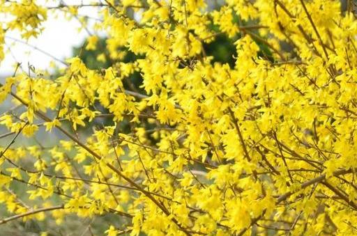 2024年11月 第1169頁