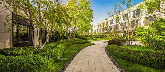 津南星耀五洲最新消息，城市發(fā)展的璀璨篇章