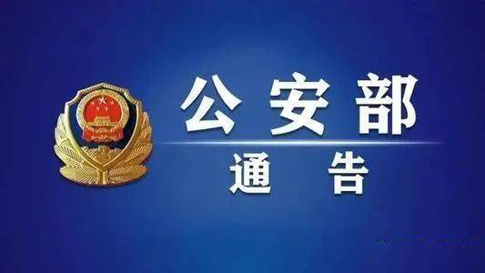 澳門(mén)4949彩論壇高手與犯罪問(wèn)題的探討