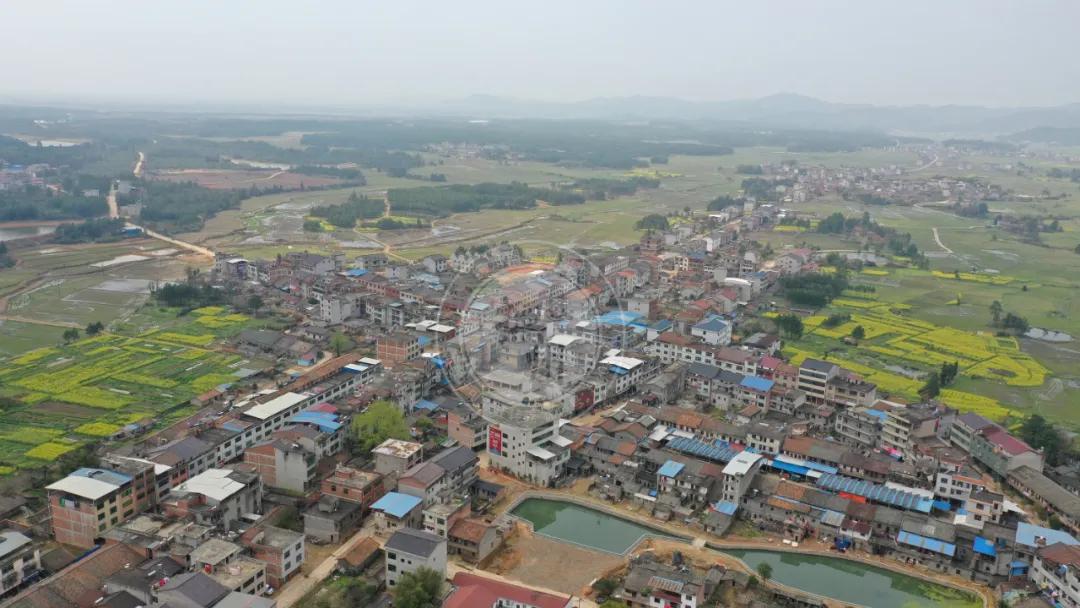 王文睿智 第5頁