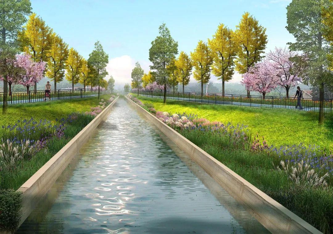 柳岸春城最新動態(tài)，城市發(fā)展的蓬勃活力與未來展望