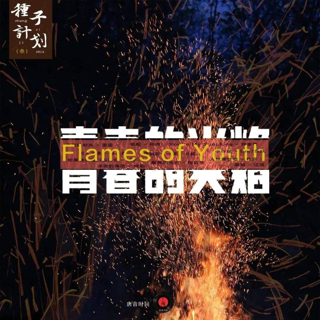 奔跑最新一期英文歌曲，探索音樂(lè)的力量與激情