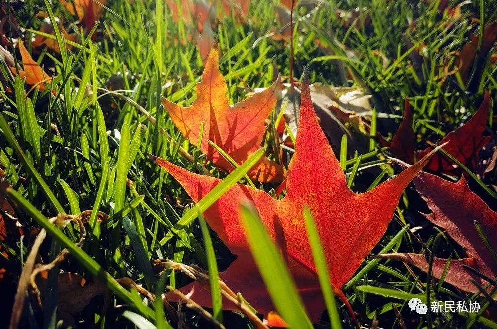 新民58招聘網(wǎng)最新招聘動態(tài)深度解析