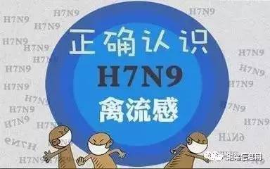 香港H7N9最新消息2017，流感監(jiān)測與防控進(jìn)展