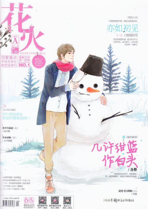 花火雜志最新一期期號，深度解讀與獨特體驗