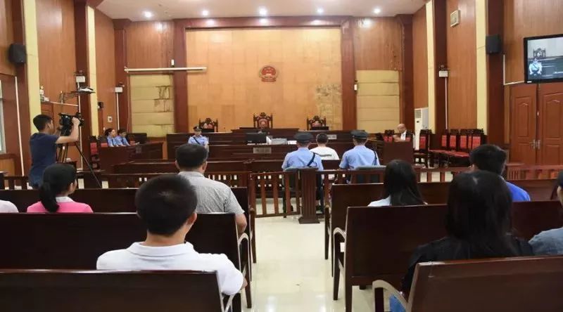 百色市陸玉團(tuán)最新任職動態(tài)，新的征程，新的使命