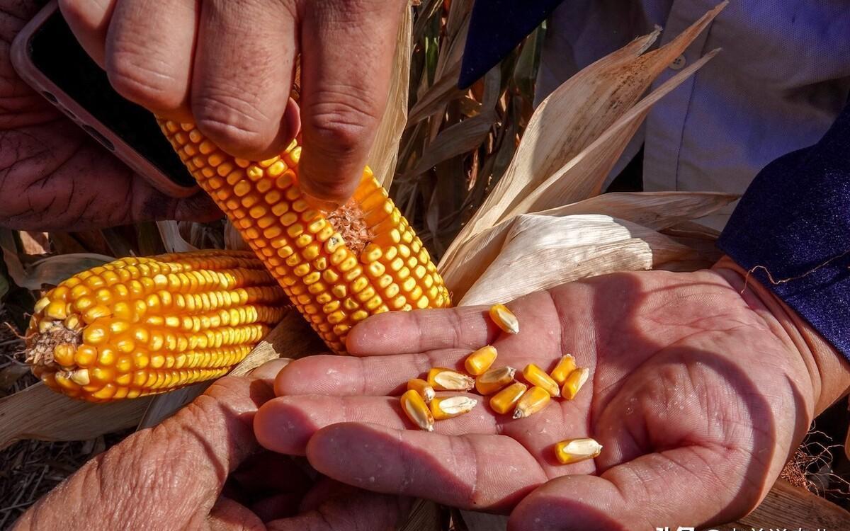 天成五金 第2頁(yè)